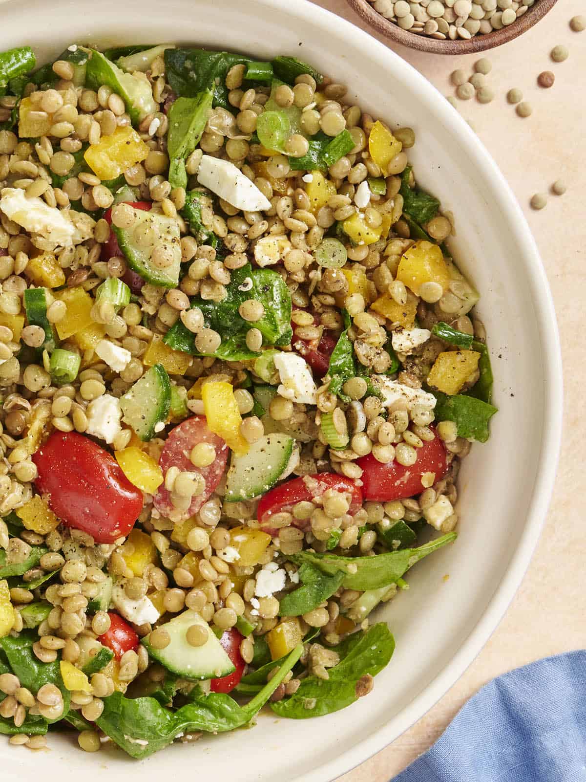 Overhead close up view of a bowl of summer lentil salad.