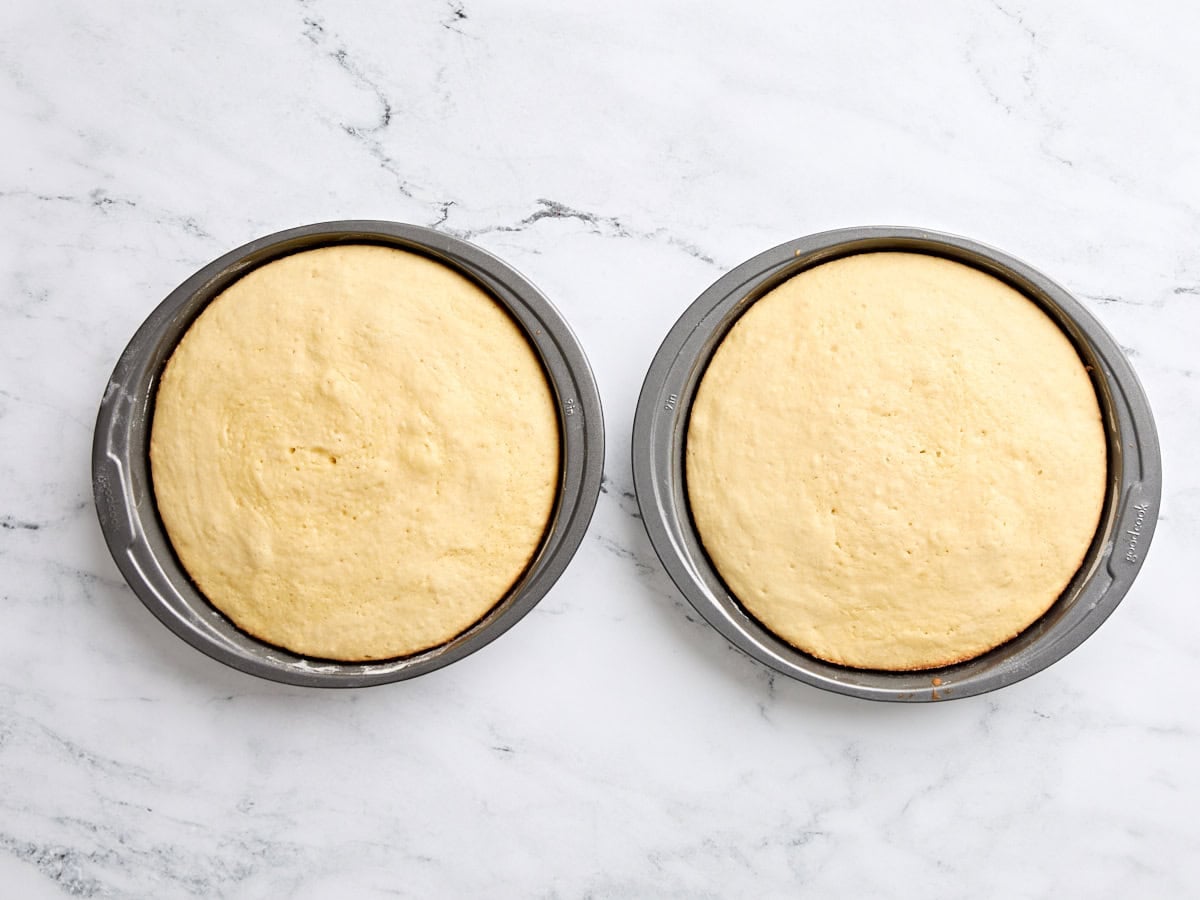 Two freshly baked vanilla cakes in cake pans.