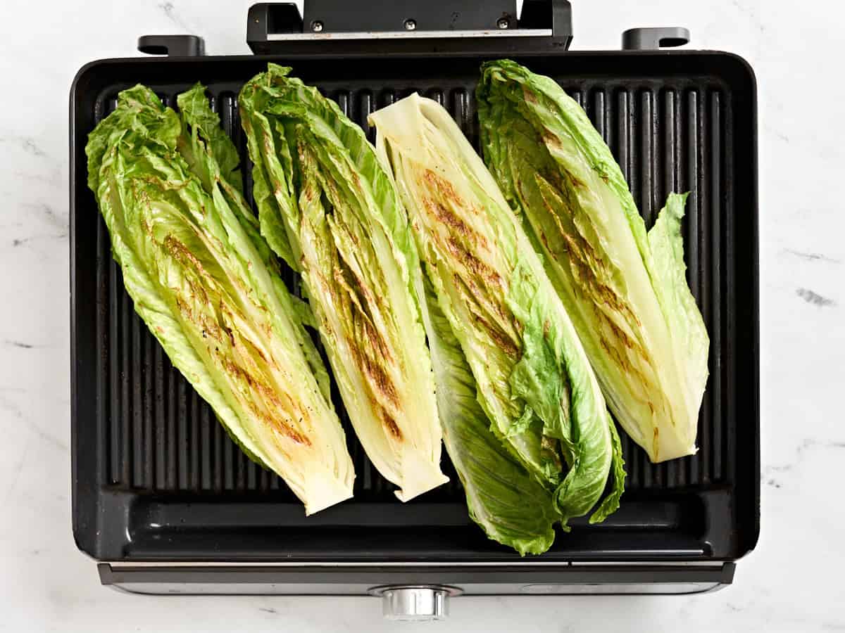 Grilled romaine hearts on a grill.