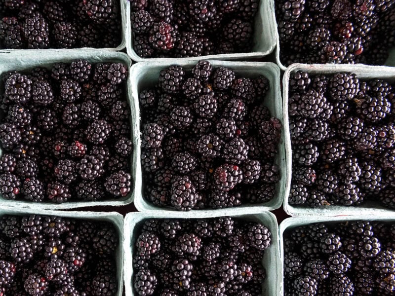 fresh blackberries from the farmer's market