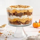 Side view of an assembled pumpkin trifle in a trifle bowl.