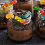 Side view of a worms in dirt dessert pudding cup.