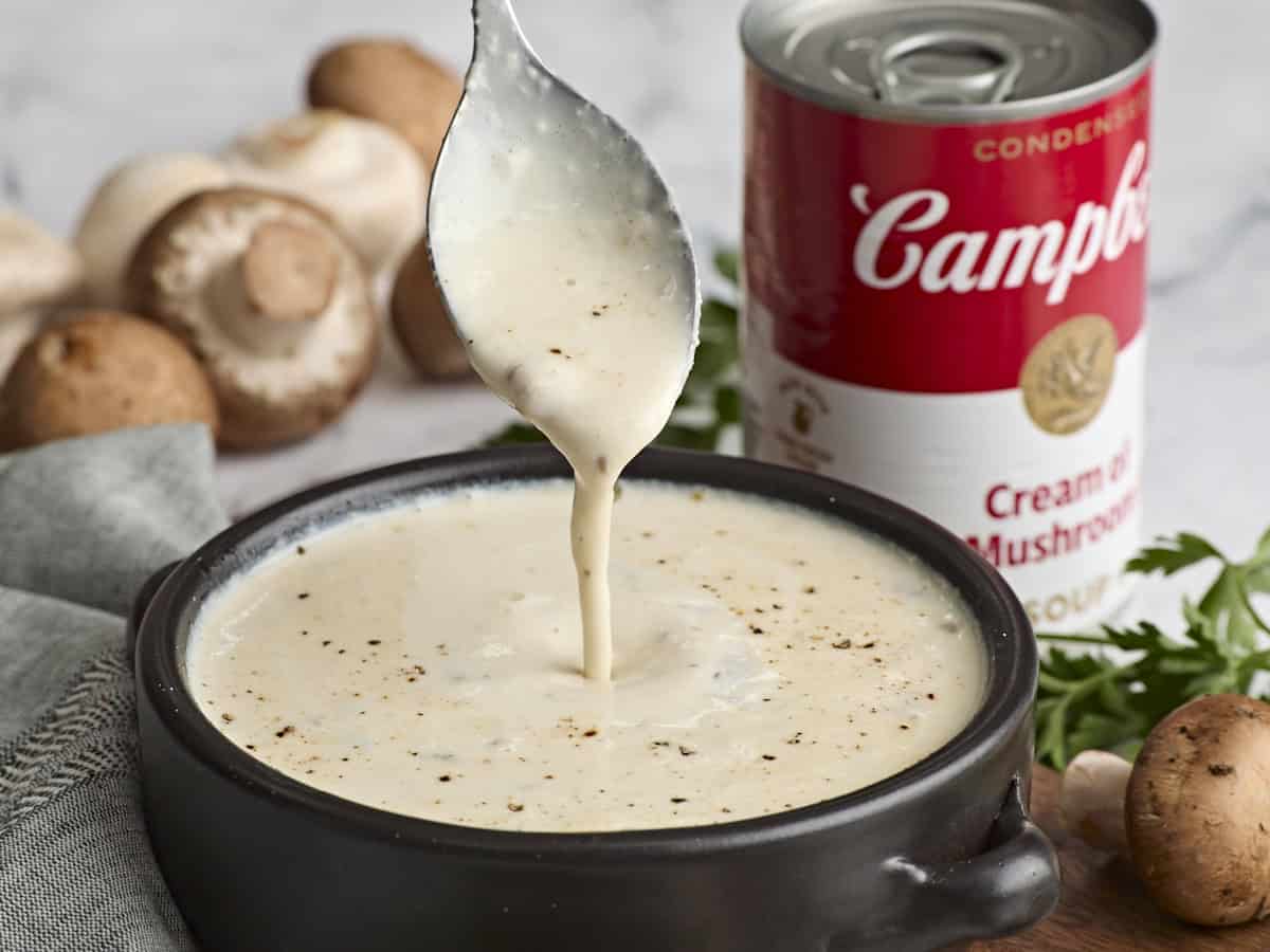 Side view of a bowl of cream of mushroom soup infront of a can of cream of mushroom soup.