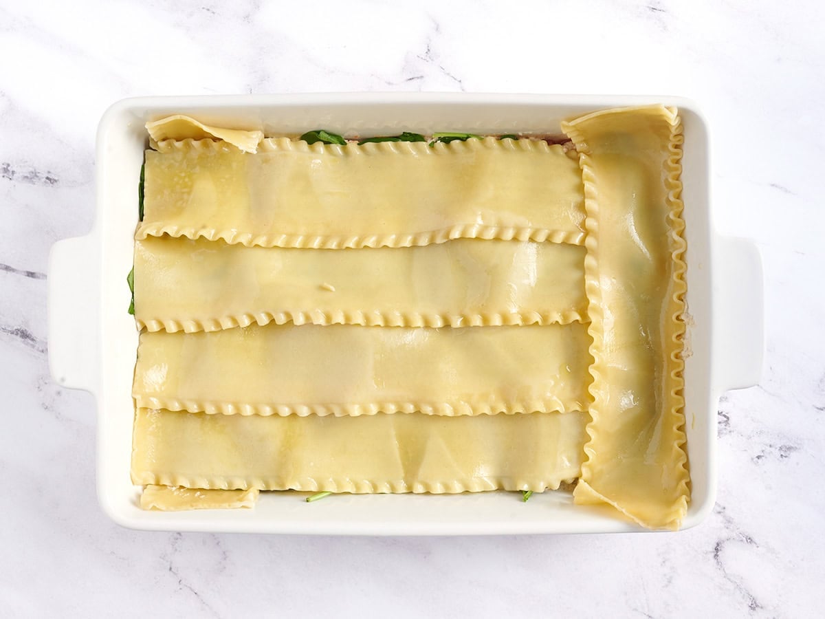 Cooked lasagna noodles added to casserole dish.