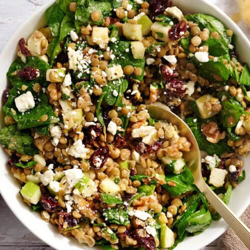Overhead view on a cranberry and lentil salad in a bowl with a spoon.