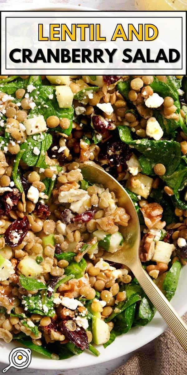 lentil and cranberry salad pin image