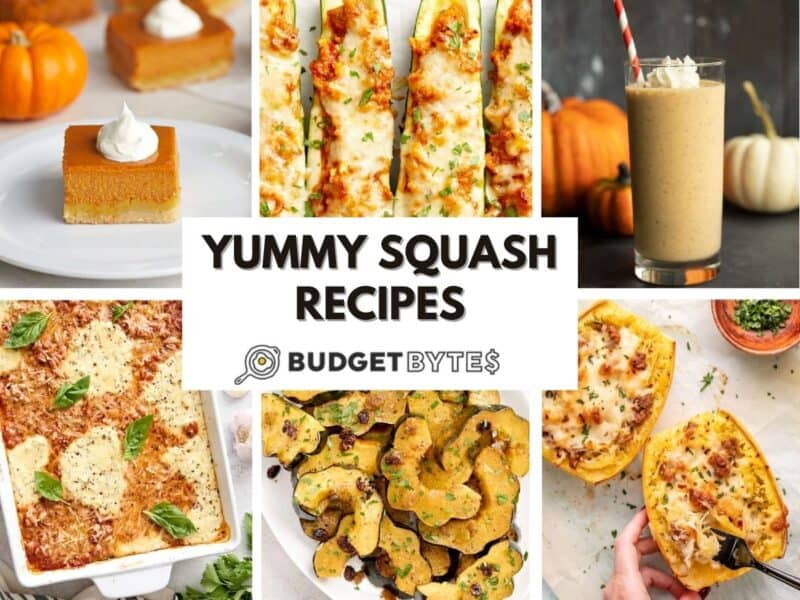 collage of different squash recipes